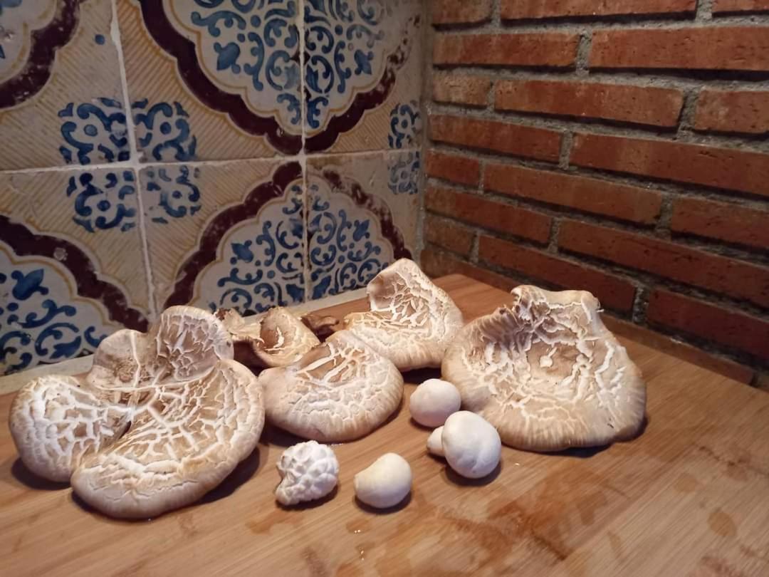 Villa Casa della Nonna Caltavuturo Esterno foto